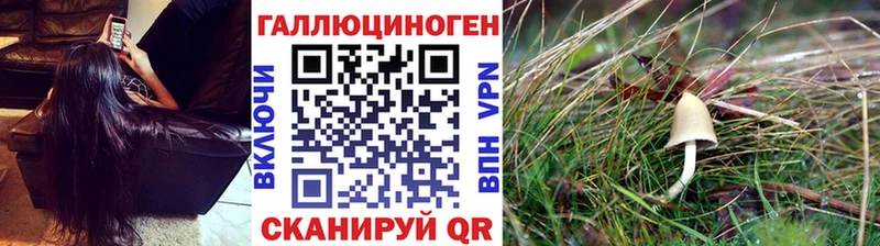 Псилоцибиновые грибы прущие грибы  Лиски 